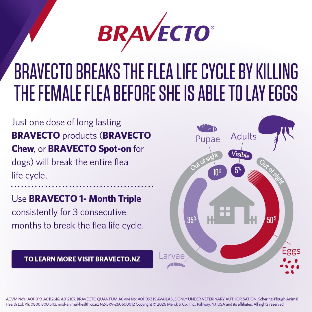 NZ_BRV_PO_B1MT-online-retail-tiles_0626_NZ-(v0.1)7 bravecto 1 month triple chew for dogs
