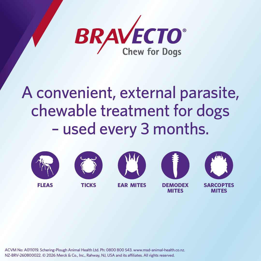 NZ_BRV_PO_Bravecto Chew online retail tiles_0826_NZ_03 bravecto large dog flea treatment 20 40kg chew