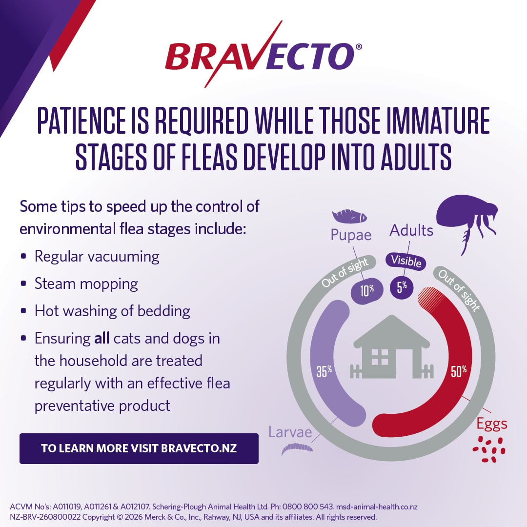 NZ_BRV_PO_Bravecto Chew online retail tiles_0826_NZ_08 bravecto large dog flea treatment 20 40kg chew
