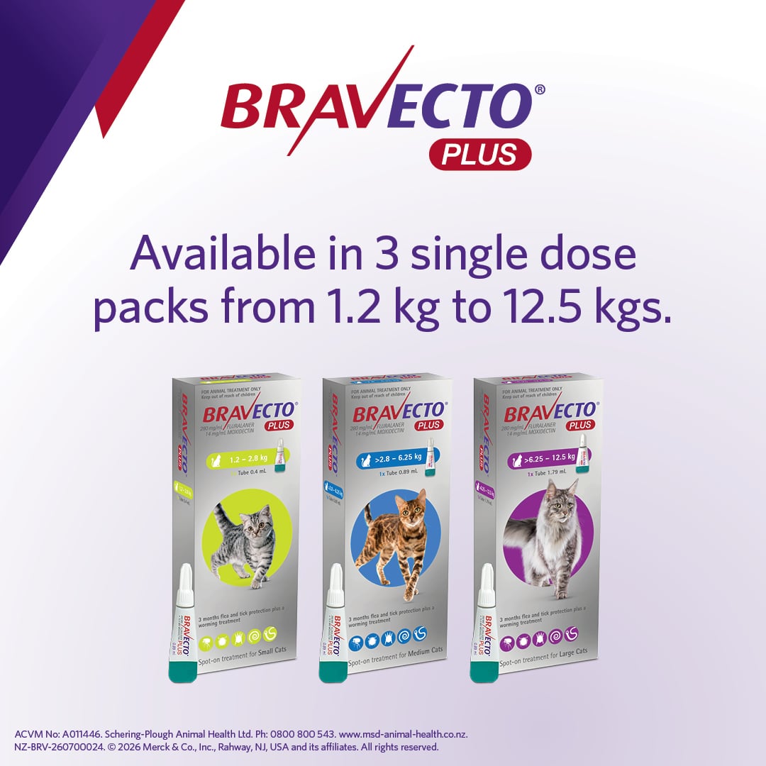 NZ_BRV_PO_Bravecto Plus online retail tiles_0726_NZ (v0.1)5 bravecto plus for medium cats (2.8 6.25kg)