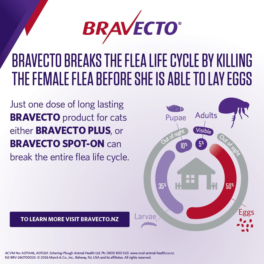 NZ_BRV_PO_Bravecto Plus online retail tiles_0726_NZ (v0.1)8 bravecto plus for medium cats (2.8 6.25kg)