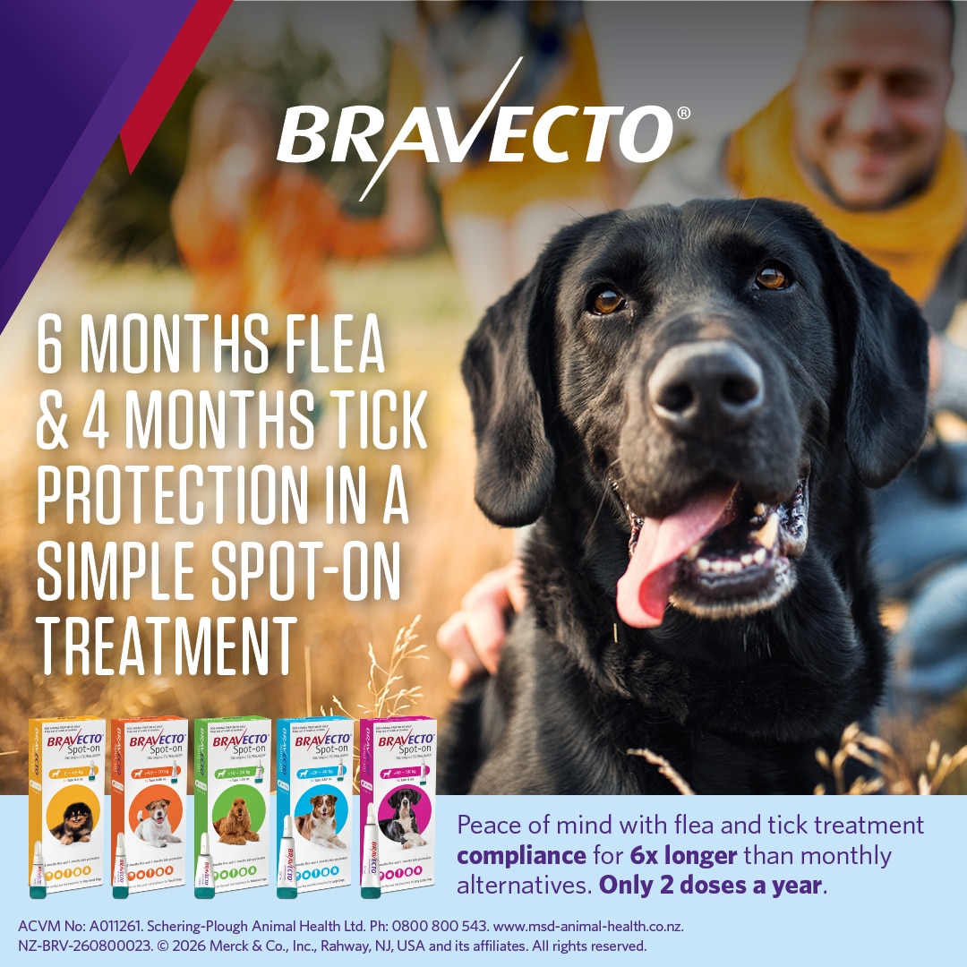 NZ_BRV_PO_Bravecto Spot On for Dogs online retail tiles_02 bravecto spot on for large dogs (20 40kg)