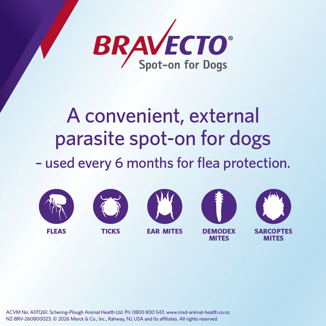 NZ_BRV_PO_Bravecto Spot On for Dogs online retail tiles_03 bravecto spot on for large dogs (20 40kg)