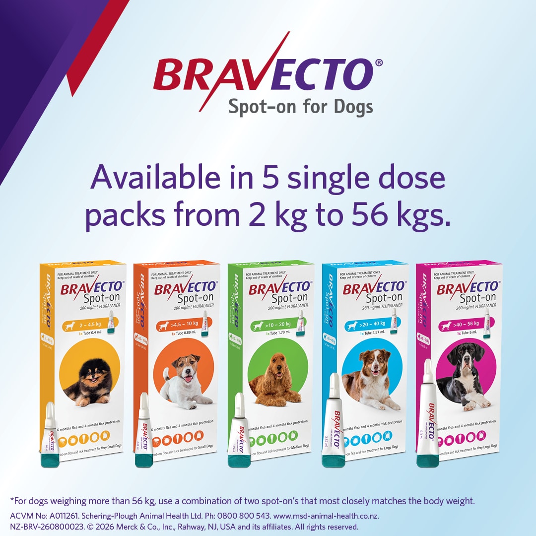 NZ_BRV_PO_Bravecto Spot On for Dogs online retail tiles_04 bravecto spot on for large dogs (20 40kg)