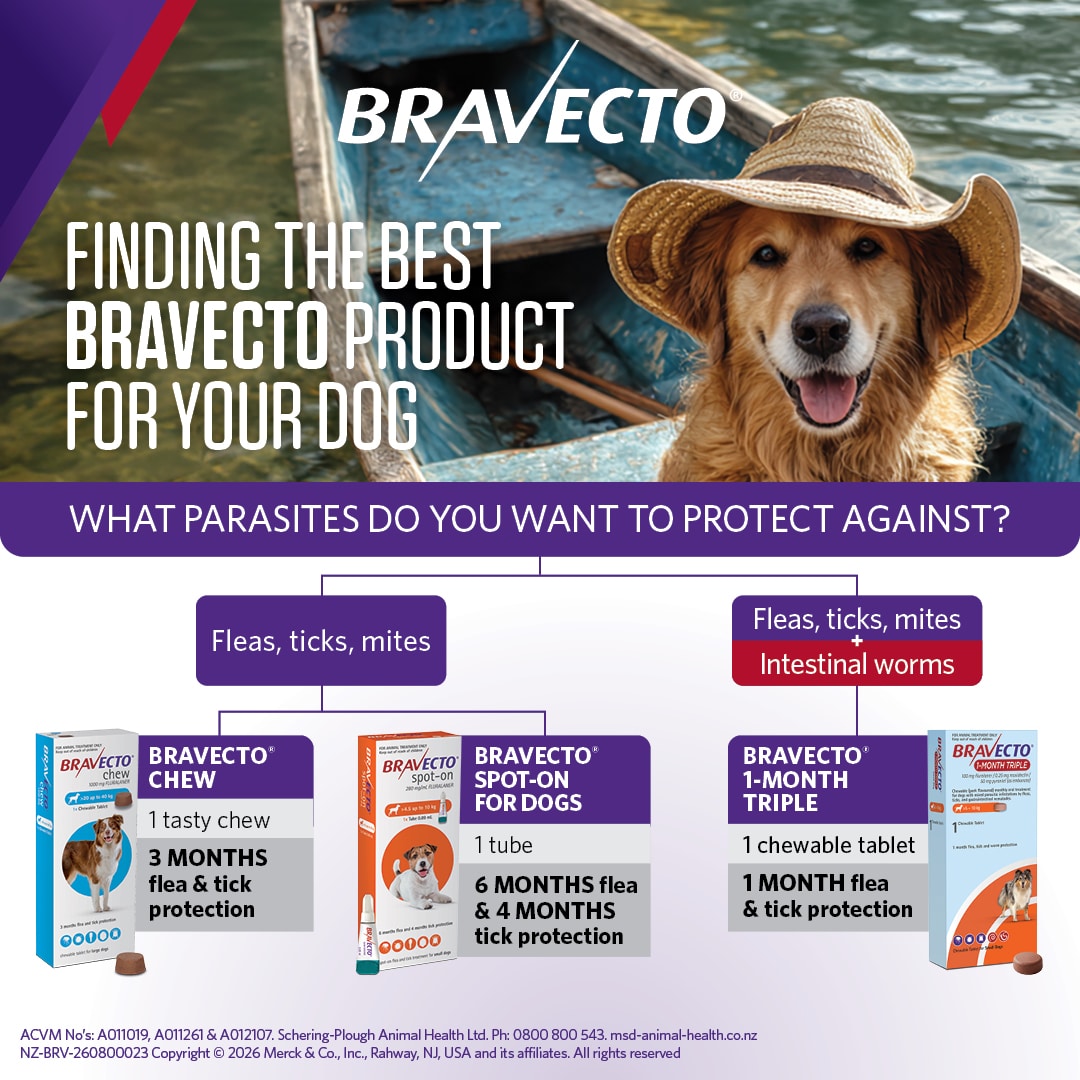NZ_BRV_PO_Bravecto Spot On for Dogs online retail tiles_05 bravecto spot on for large dogs (20 40kg)