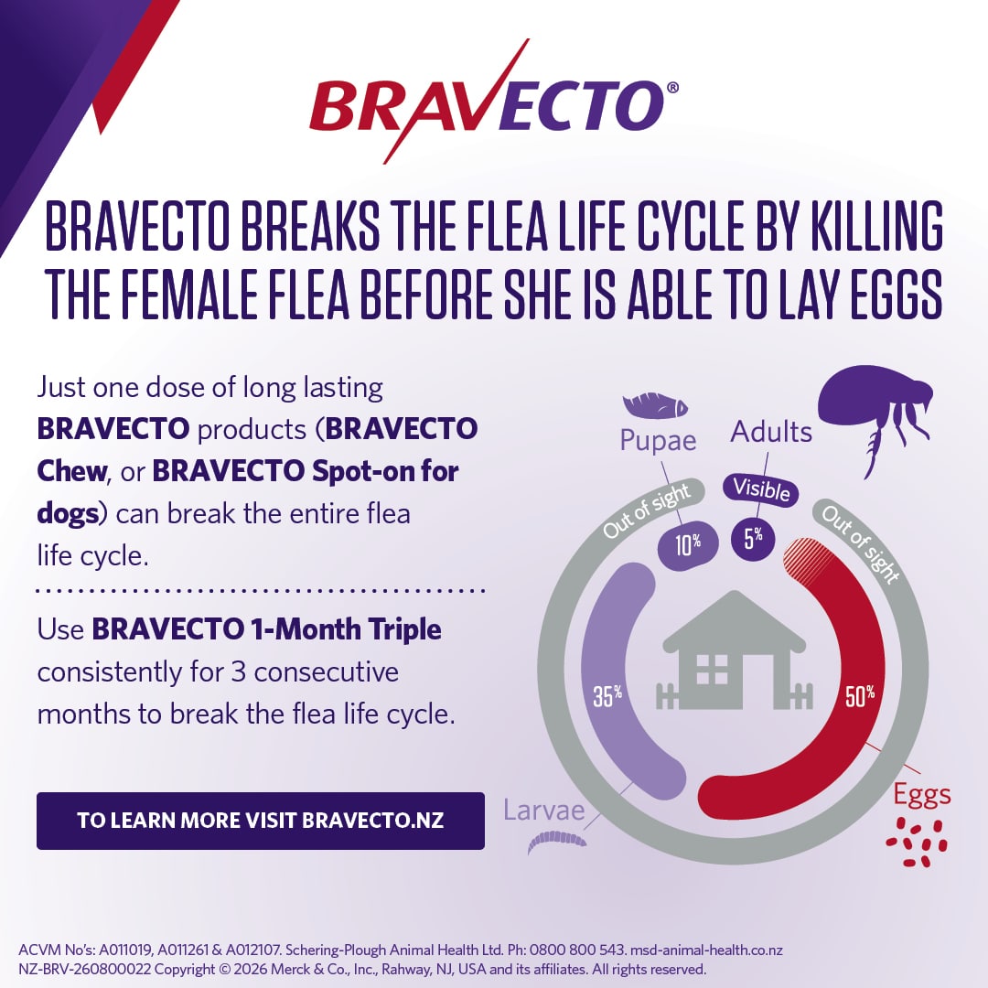 NZ_BRV_PO_Bravecto Spot On for Dogs online retail tiles_07 bravecto spot on for large dogs (20 40kg)