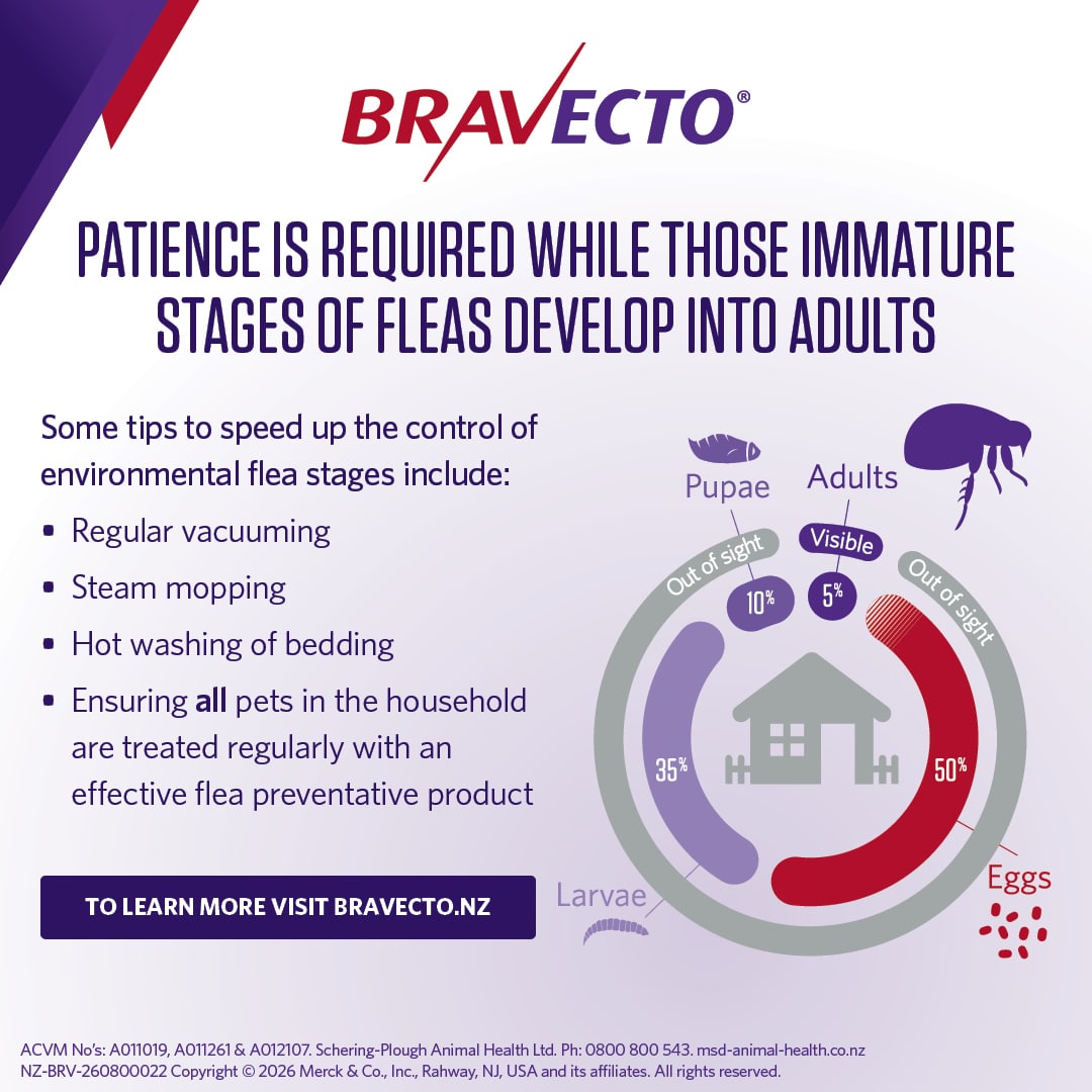 NZ_BRV_PO_Bravecto Spot On for Dogs online retail tiles_08 bravecto spot on for large dogs (20 40kg)