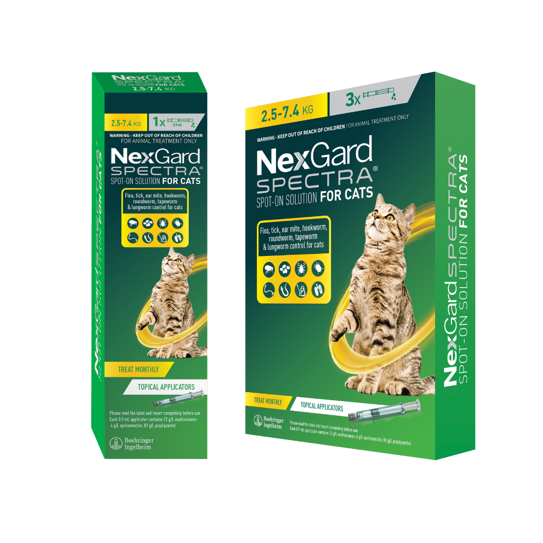 Nexgard Spectra for Large Cats (2.57.4kg) Buy Online from Vet Post