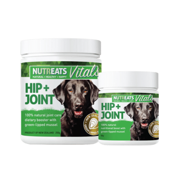 nutreats vitals hip and joint dog