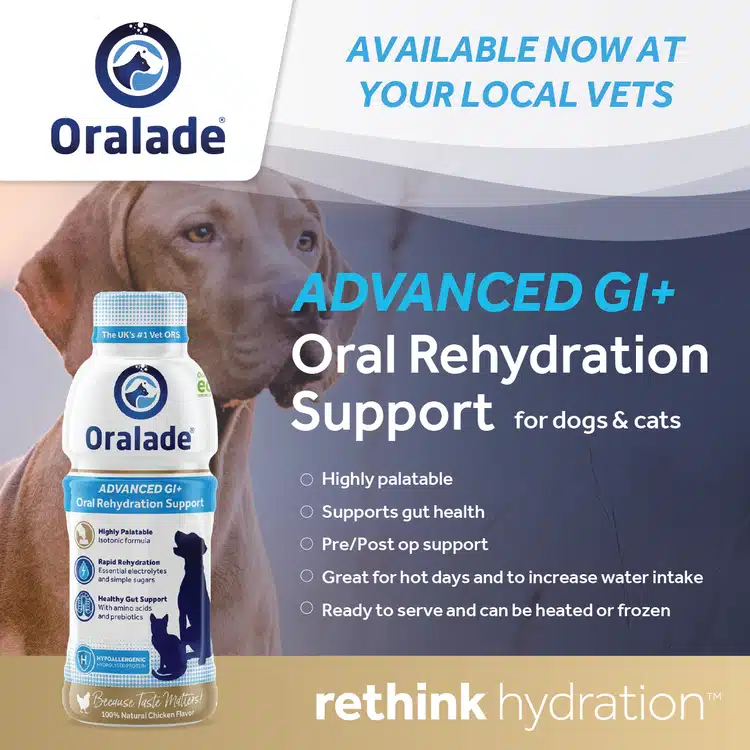 Oralade+Tiles-01 oralade advanced gi+ oral rehydration support for cats & dogs 500ml