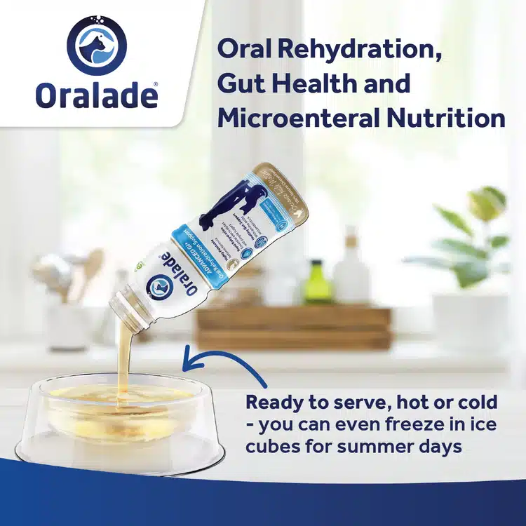 Oralade+Tiles-05 oralade advanced gi+ oral rehydration support for cats & dogs 500ml