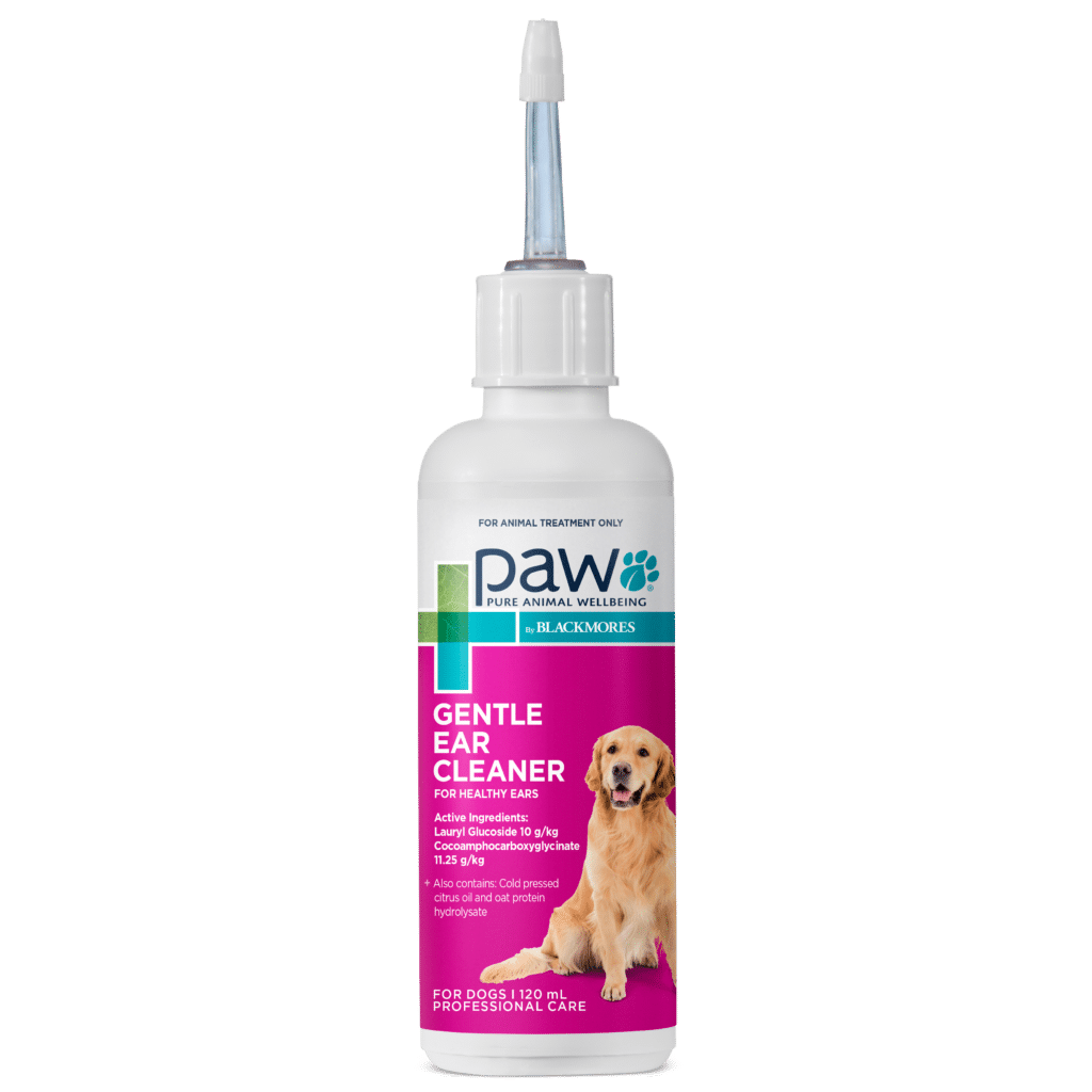 Ear Infections Best Thing To Use To Clean Dog's Ears Dog Ear