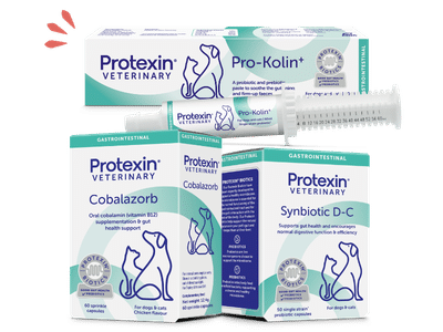 protexin gut