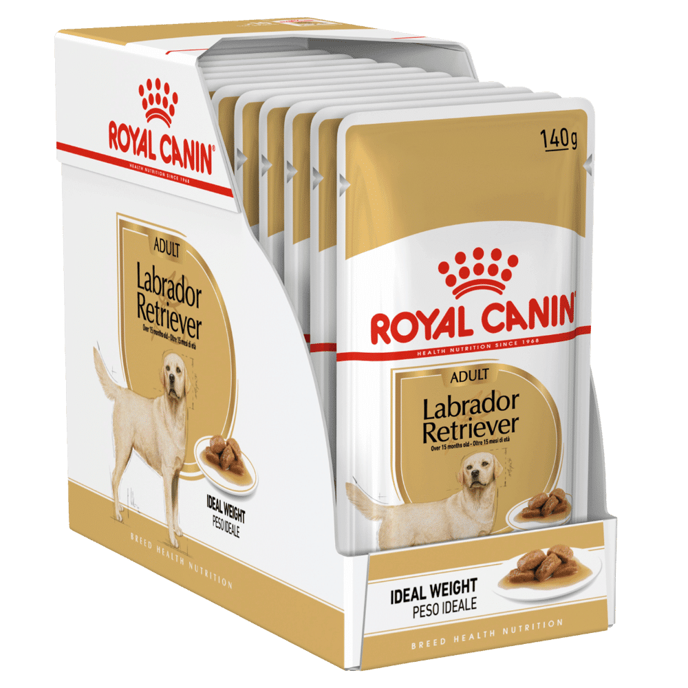 royal canin labrador retriever adult 140g pouches x10