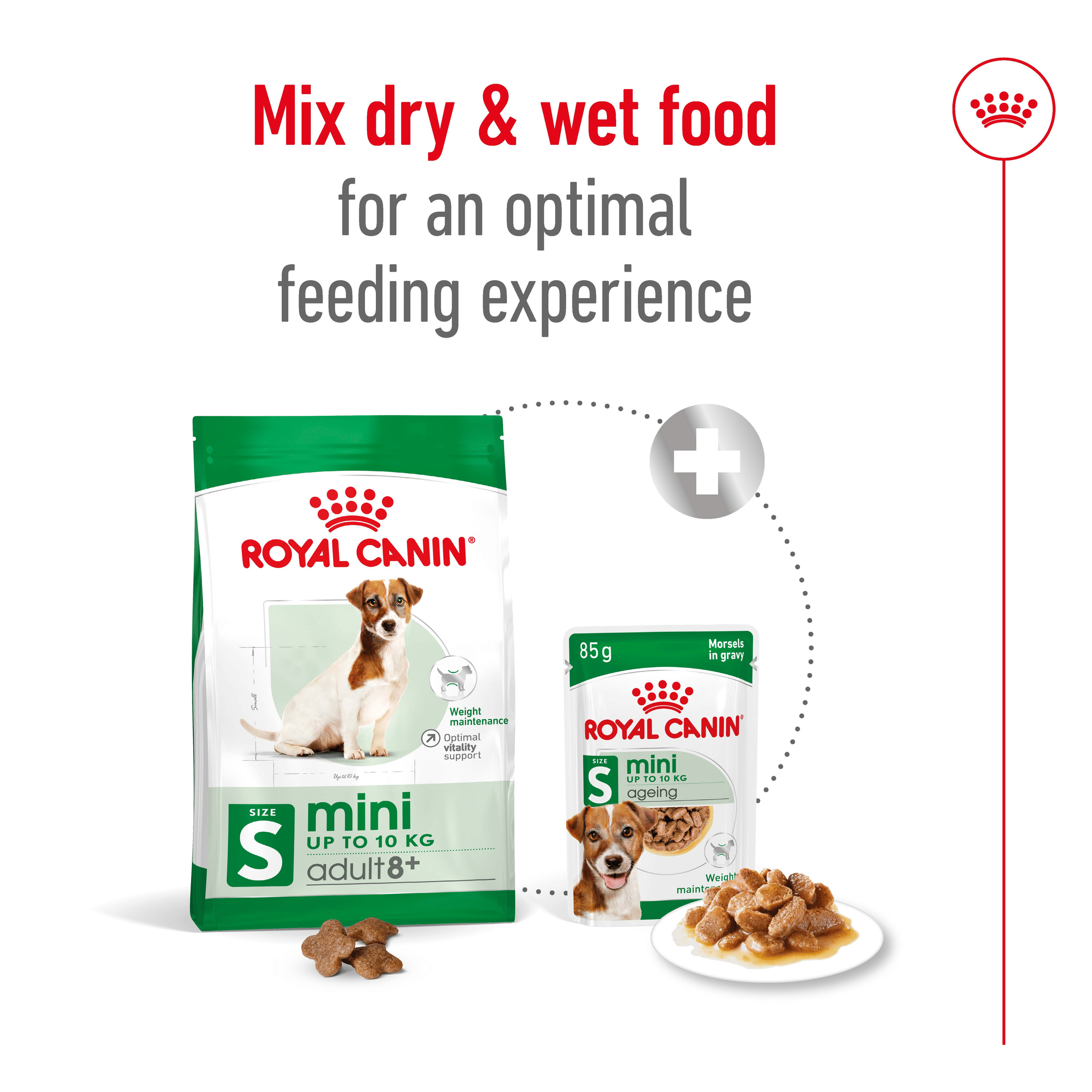 Royal Canin Mini Adult 8+ Dog Food 2kg | Vetpost