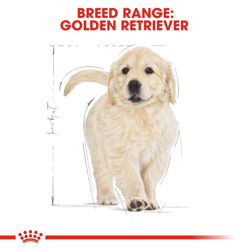 ROYAL CANIN® Golden Retriever Breed Puppy Dry Dog Food -10 royal canin golden retriever puppy food 12kg