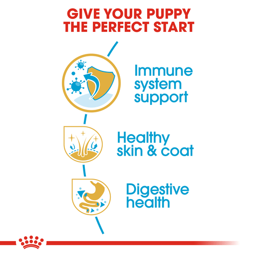 ROYAL CANIN® Golden Retriever Breed Puppy Dry Dog Food -8 royal canin golden retriever puppy food 12kg