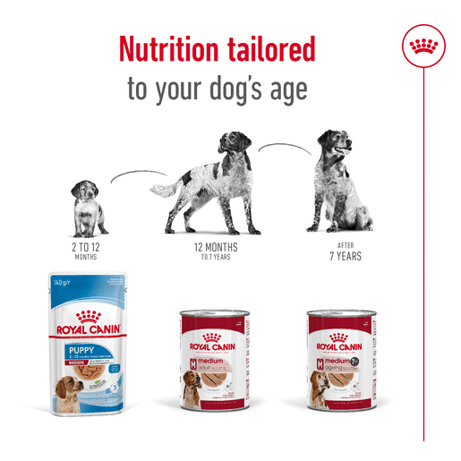 ROYAL CANIN® MEDIUM AGEING Loaf Dog Food Can-10 royal canin medium ageing 7+ loaf dog food can 410g