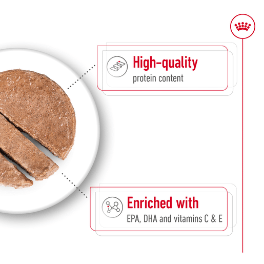 ROYAL CANIN® MEDIUM AGEING Loaf Dog Food Can-9 royal canin medium ageing 7+ loaf dog food can 410g