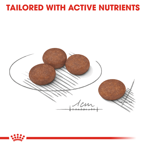 ROYAL CANIN® MINI DIGESTIVE CARE Small Dog Dry Food-10 royal canin digestive care mini