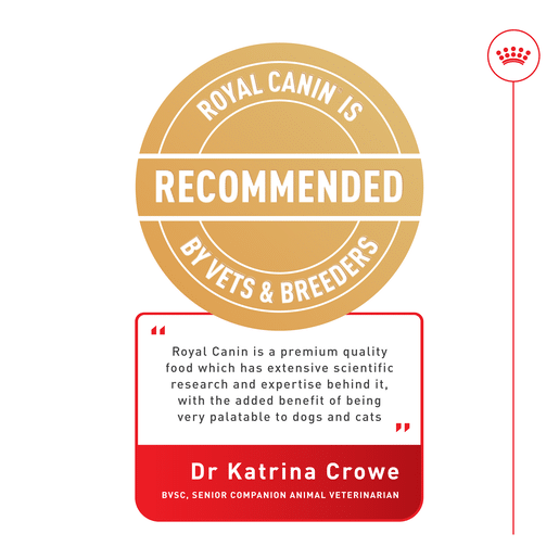 ROYAL CANIN® MINI DIGESTIVE CARE Small Dog Dry Food-15 royal canin digestive care mini