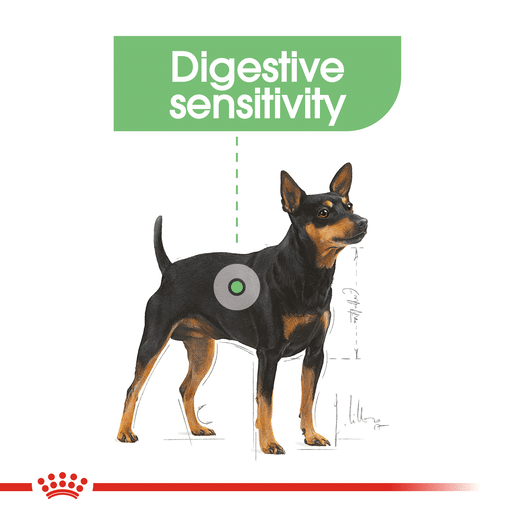 ROYAL CANIN® MINI DIGESTIVE CARE Small Dog Dry Food-9 royal canin digestive care mini