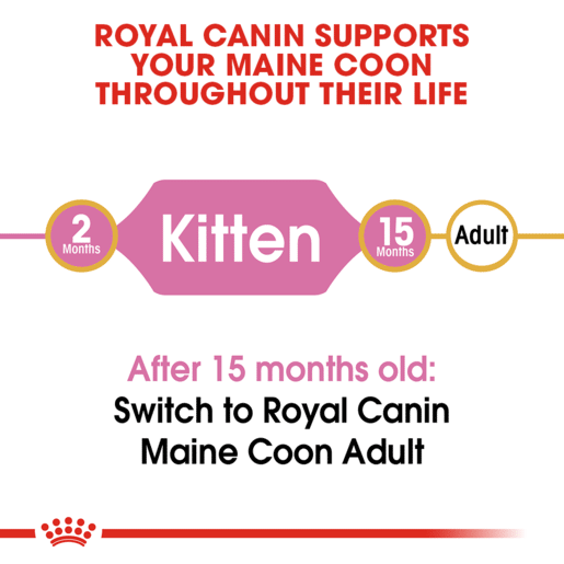 ROYAL CANIN® Maine Coon Breed Kitten Dry Cat Food -11 royal canin maine coon breed kitten dry cat food 2kg