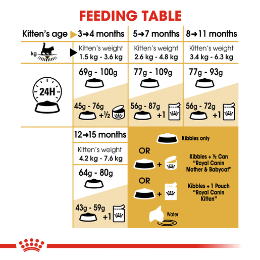 ROYAL CANIN® Maine Coon Breed Kitten Dry Cat Food -12 royal canin maine coon breed kitten dry cat food 2kg