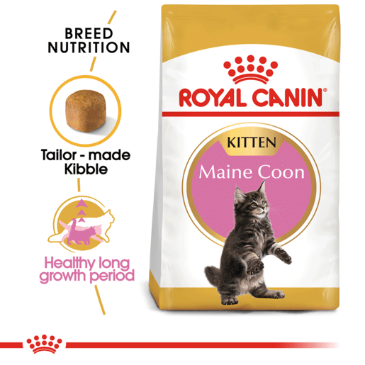ROYAL CANIN® Maine Coon Breed Kitten Dry Cat Food -7 royal canin maine coon breed kitten dry cat food 2kg