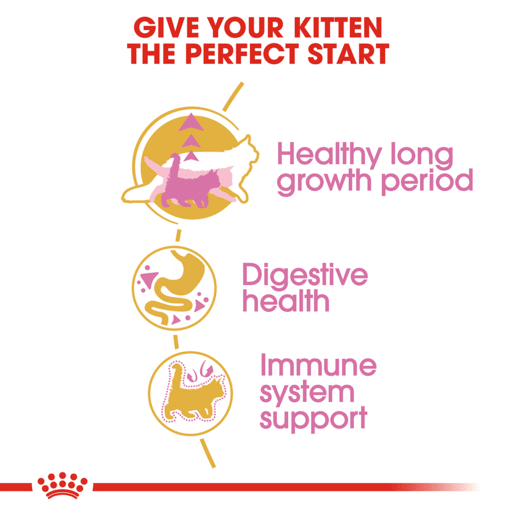 ROYAL CANIN® Maine Coon Breed Kitten Dry Cat Food -8 royal canin maine coon breed kitten dry cat food 2kg