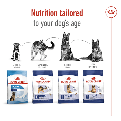 ROYAL CANIN® Maxi Adult Dry Dog Food -11 royal canin maxi adult dry dog food 15kg