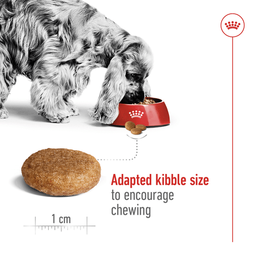 ROYAL CANIN® Medium Adult Dry Dog Food -10 royal canin adult medium dry dog food