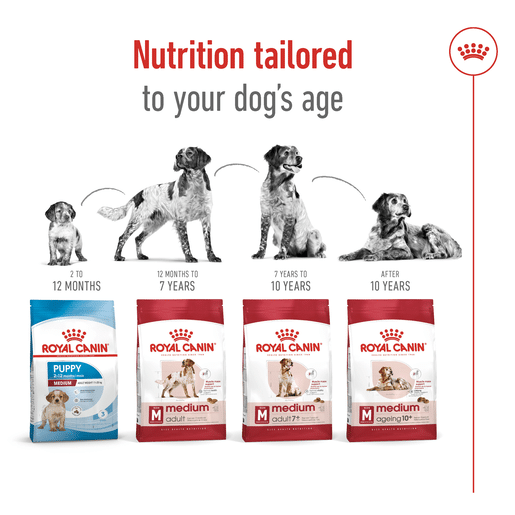ROYAL CANIN® Medium Adult Dry Dog Food -11 royal canin adult medium dry dog food