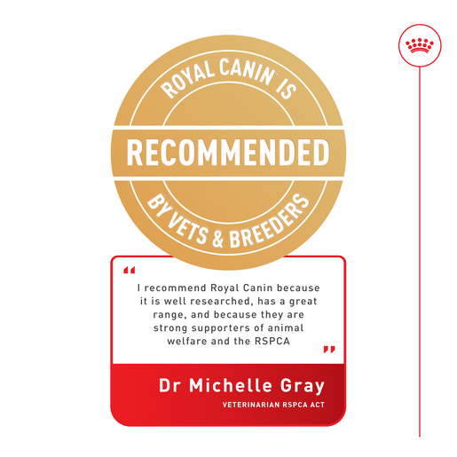 ROYAL CANIN® Medium Adult Dry Dog Food -16 royal canin adult medium dry dog food