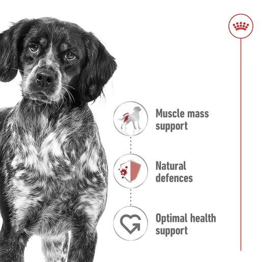 ROYAL CANIN® Medium Adult Dry Dog Food -8 royal canin adult medium dry dog food