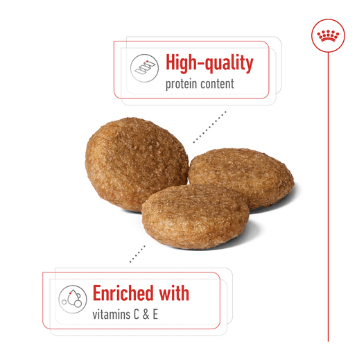ROYAL CANIN® Medium Adult Dry Dog Food -9 royal canin adult medium dry dog food