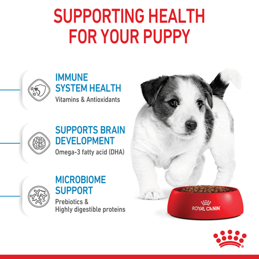 ROYAL CANIN® Mini Puppy Small Dog Dry Food-10 royal canin puppy mini