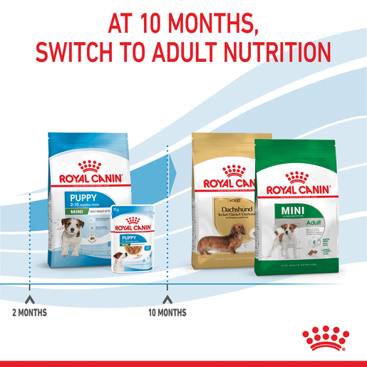 ROYAL CANIN® Mini Puppy Small Dog Dry Food-11 royal canin puppy mini