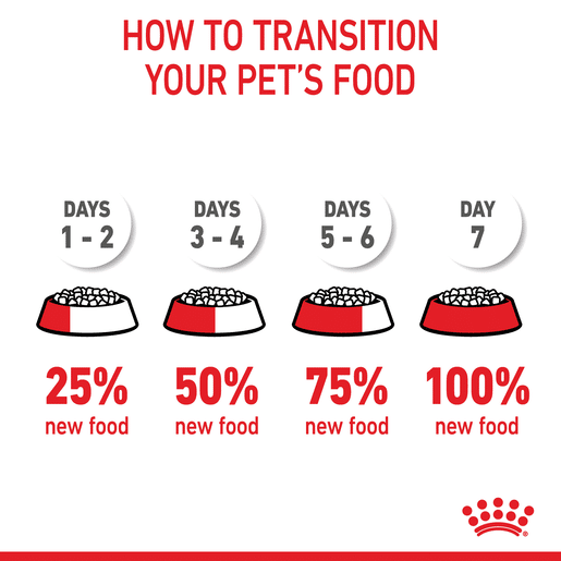 ROYAL CANIN® Mini Puppy Small Dog Dry Food-16 royal canin puppy mini
