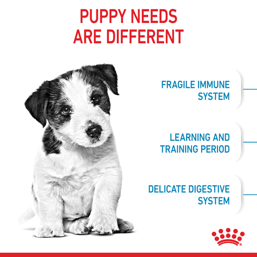 ROYAL CANIN® Mini Puppy Small Dog Dry Food-8 royal canin puppy mini