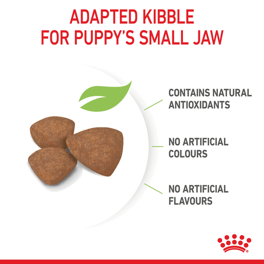 ROYAL CANIN® Mini Puppy Small Dog Dry Food-9 royal canin puppy mini