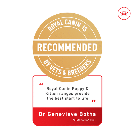 ROYAL CANIN® Starter Dog Mousse-14 royal canin dog starter mousse 195g