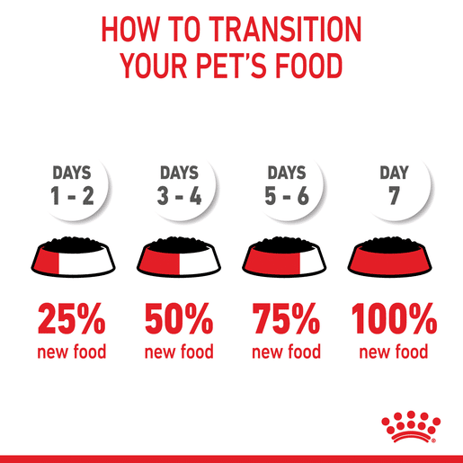 ROYAL CANIN® Starter Dog Mousse-16 royal canin dog starter mousse 195g