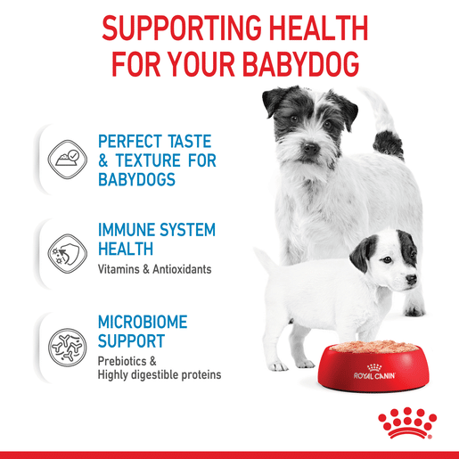 ROYAL CANIN® Starter Dog Mousse-8 royal canin dog starter mousse 195g