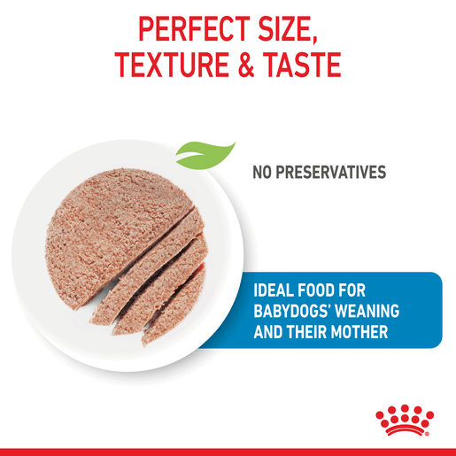ROYAL CANIN® Starter Dog Mousse-9 royal canin dog starter mousse 195g