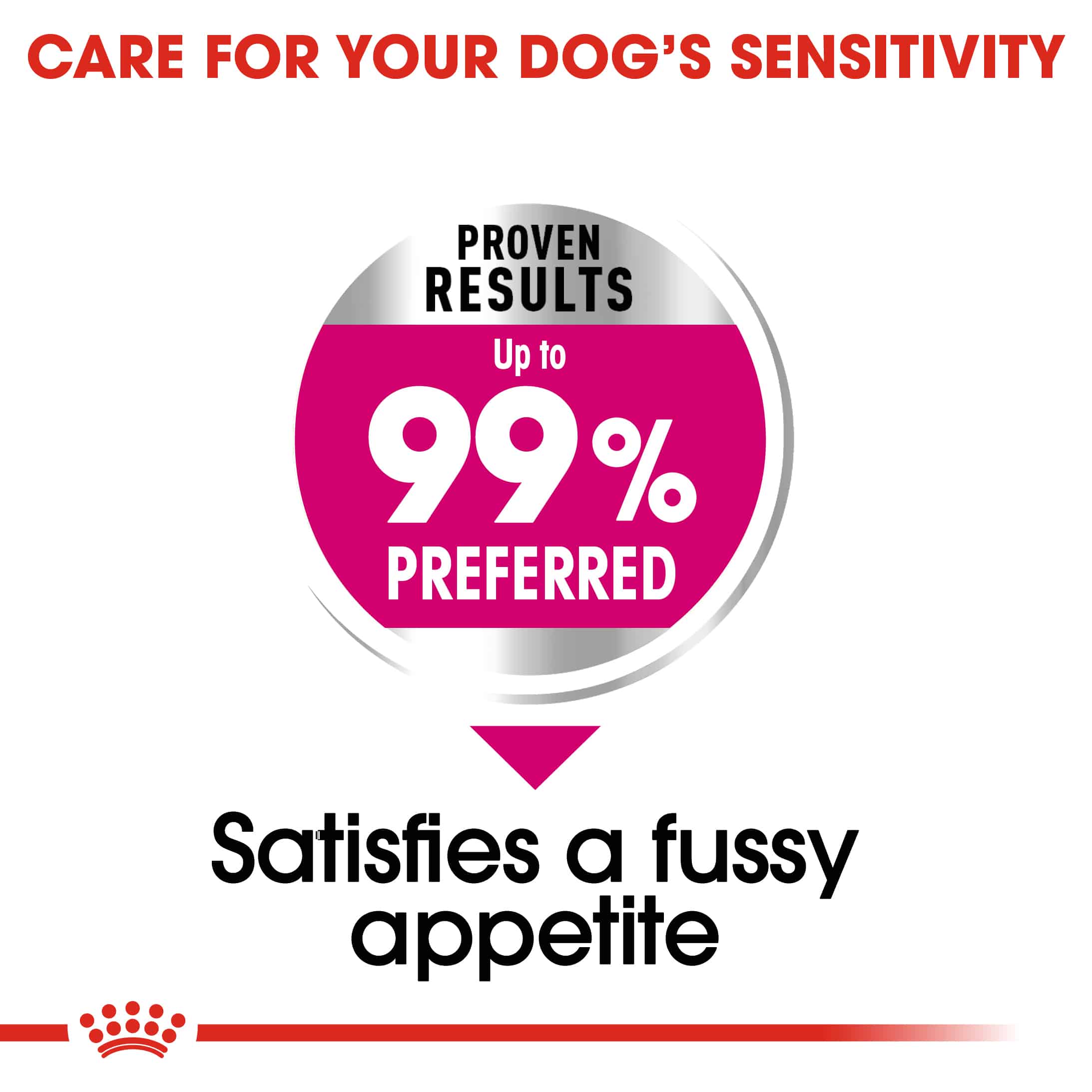 ROYA_3182550894050NZ-11 royal canin mini adult exigent dry dog food 3kg