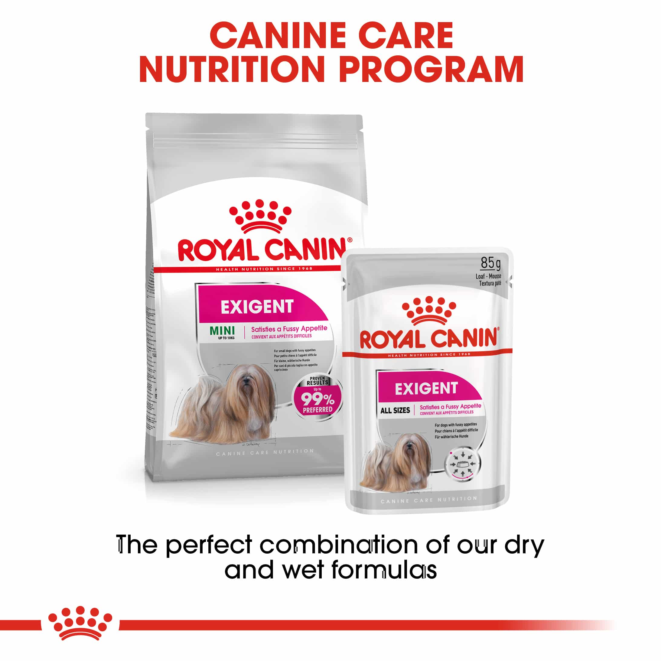 ROYA_3182550894050NZ-12 royal canin mini adult exigent dry dog food 3kg