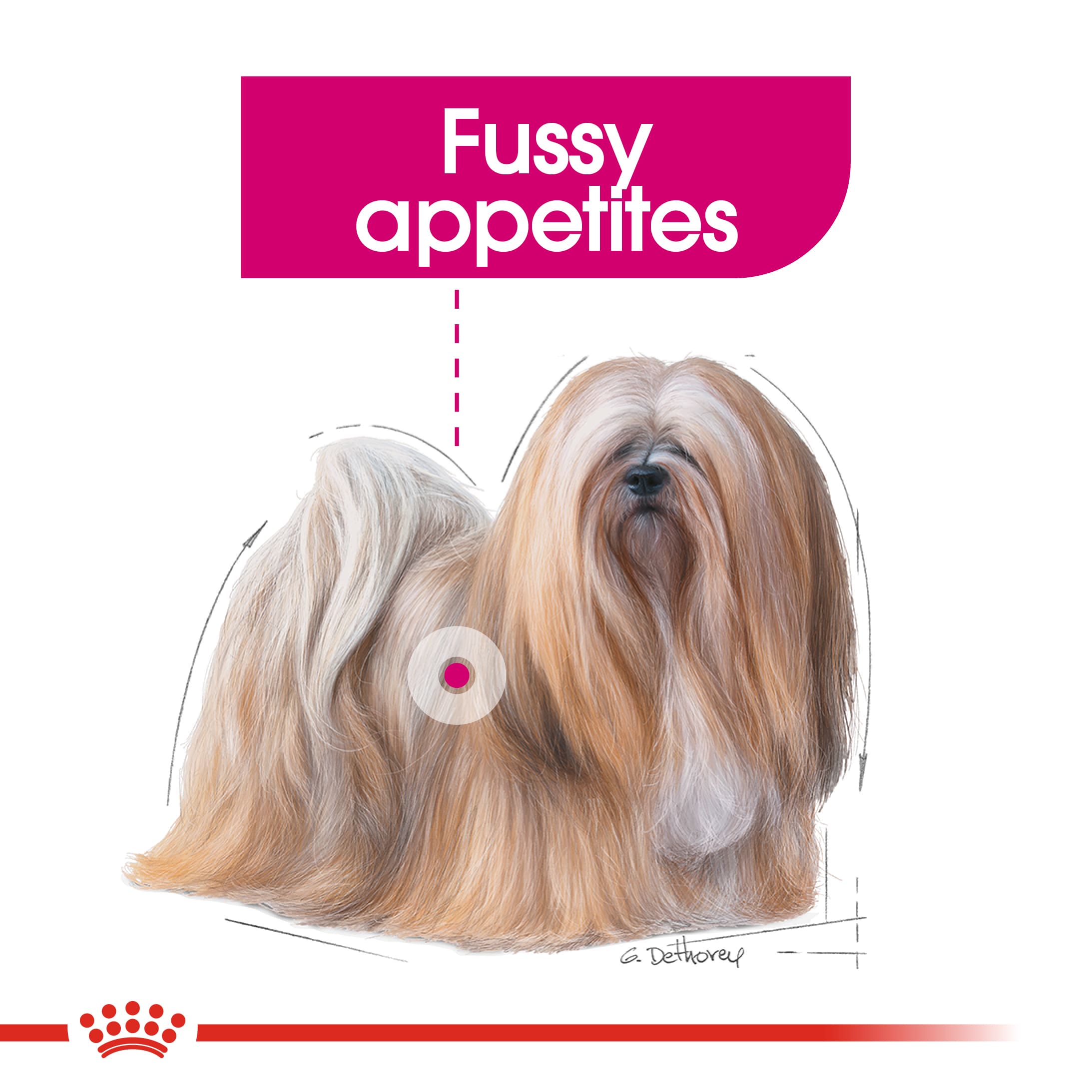 ROYA_3182550894050NZ-9 royal canin mini adult exigent dry dog food 3kg