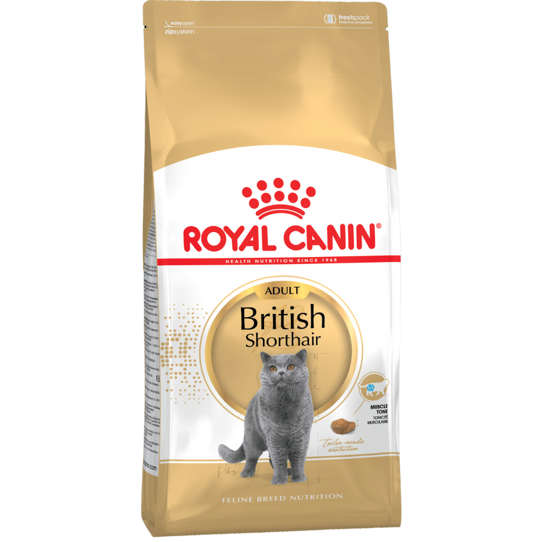 royal canin british shorthair adult