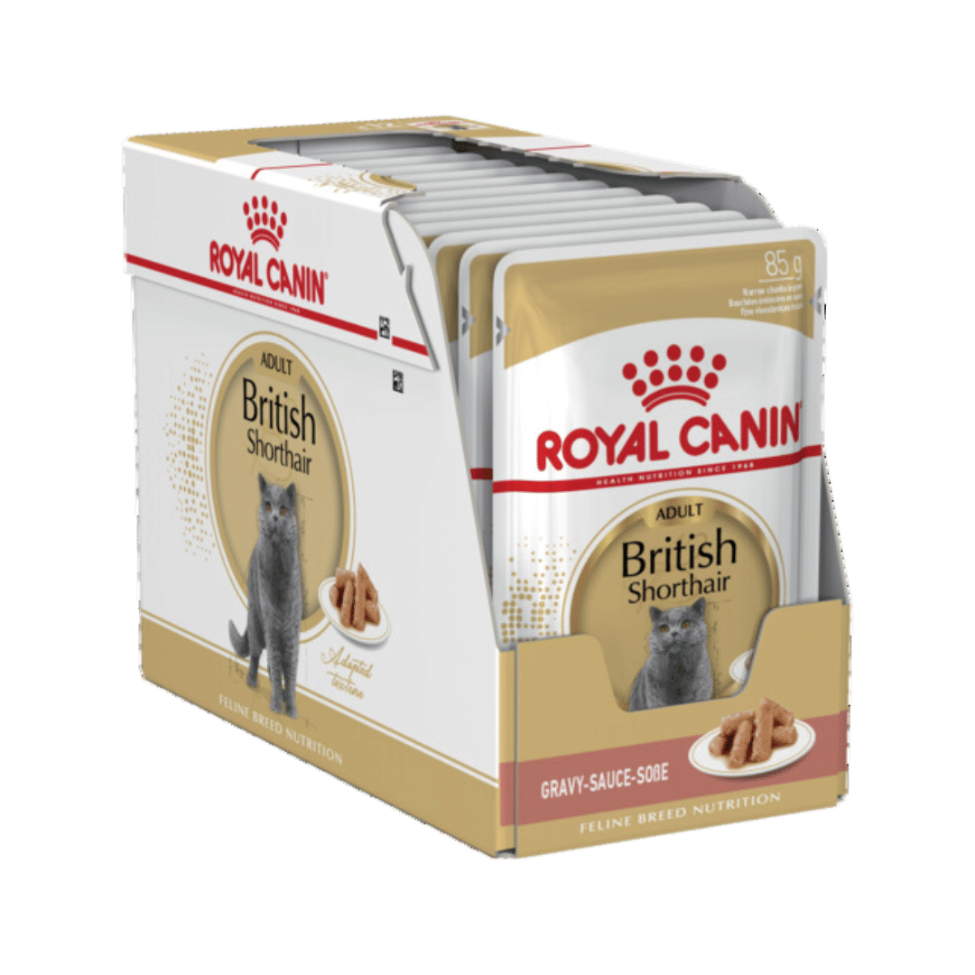 royal canin british shorthair gravy